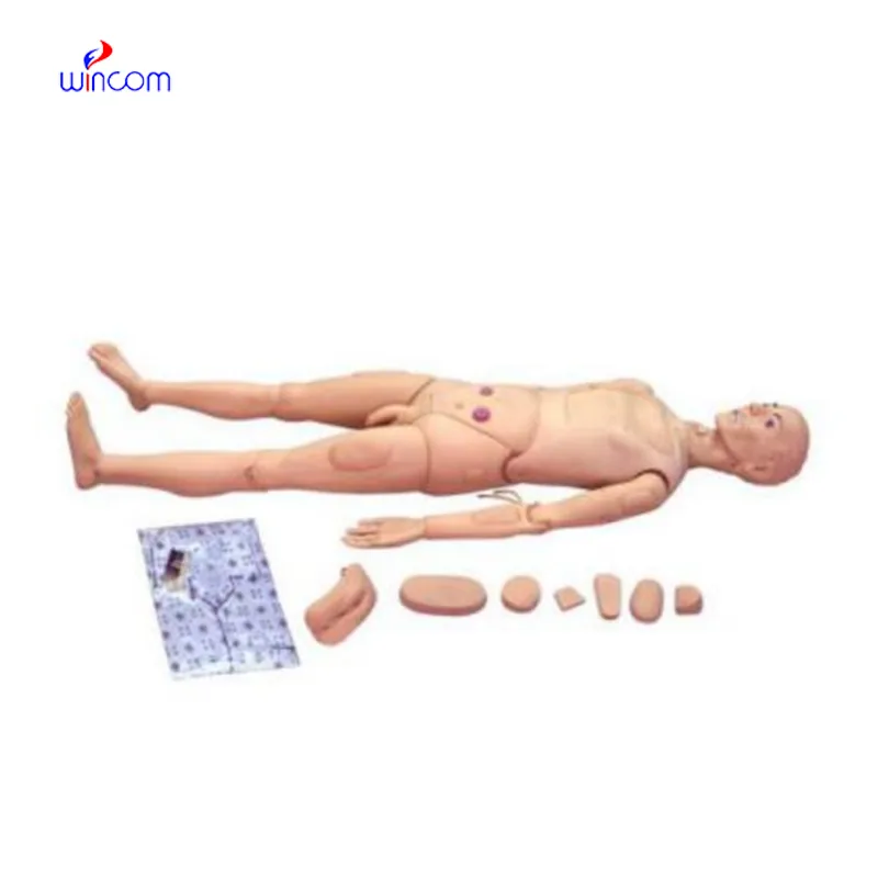 전기능 간호 훈련 시뮬레이터(남성) WN-M-130A